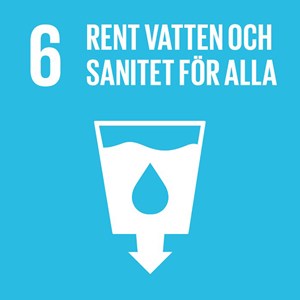 Global goal 6